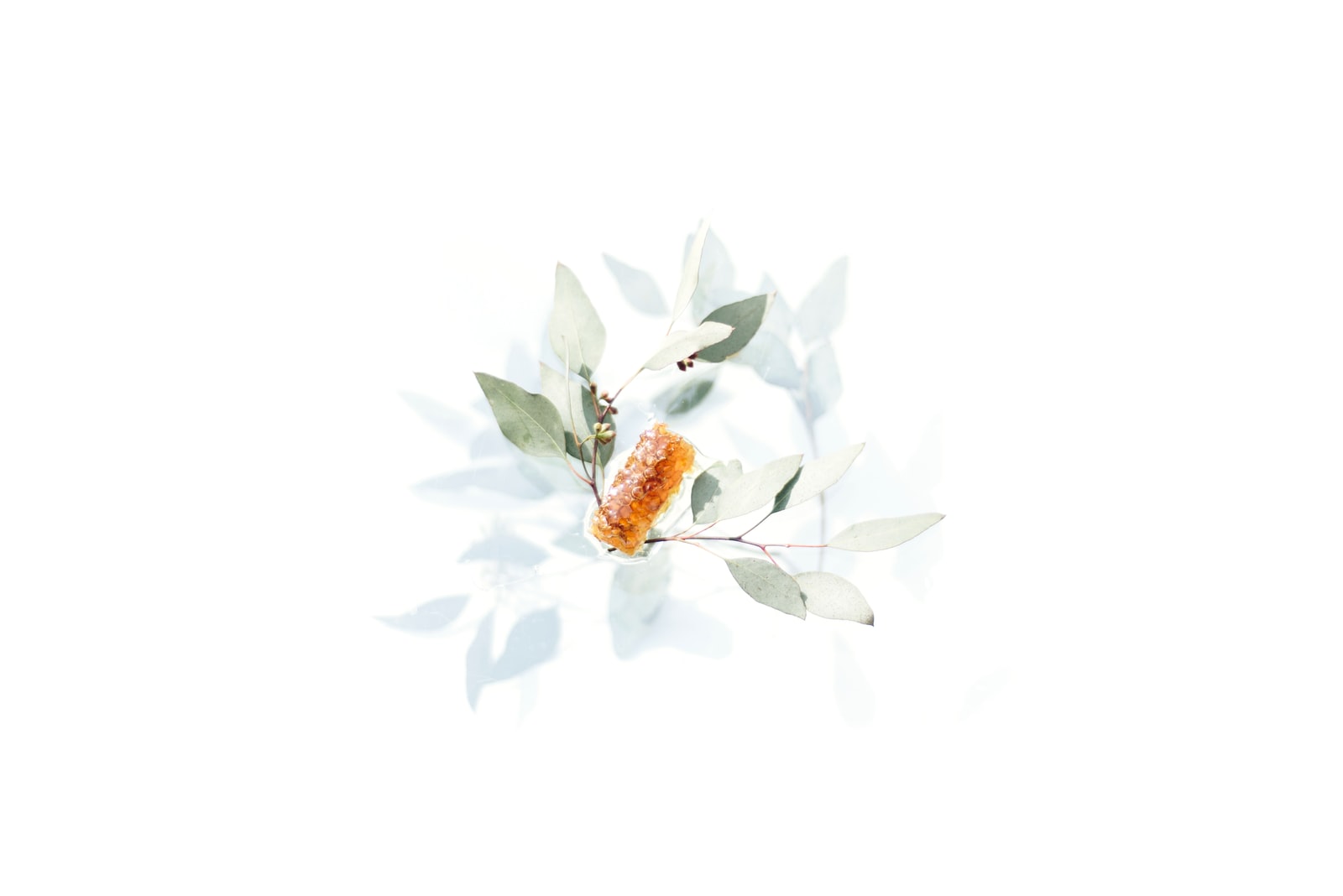 Sales Training: Practical Sales Techniques